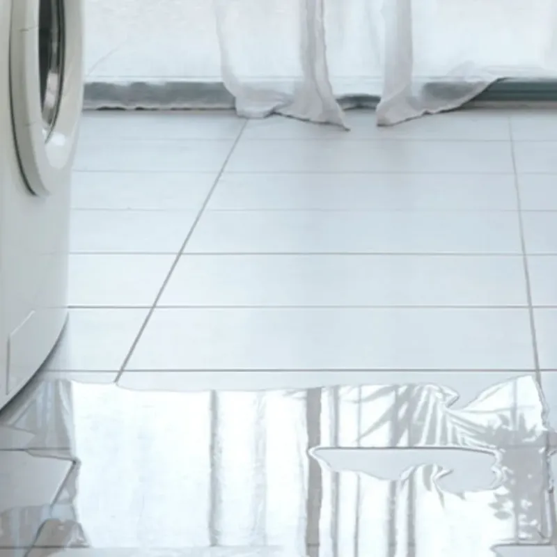 Appliance Leak Cleanup in Nolanville, TX