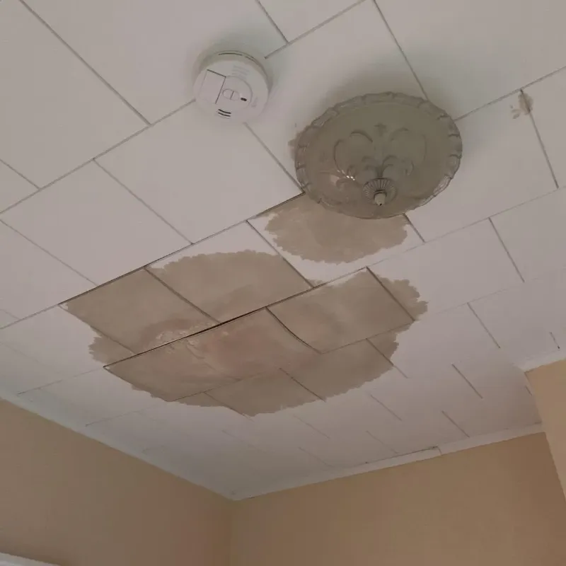 Ceiling Water Damage Repair in Nolanville, TX