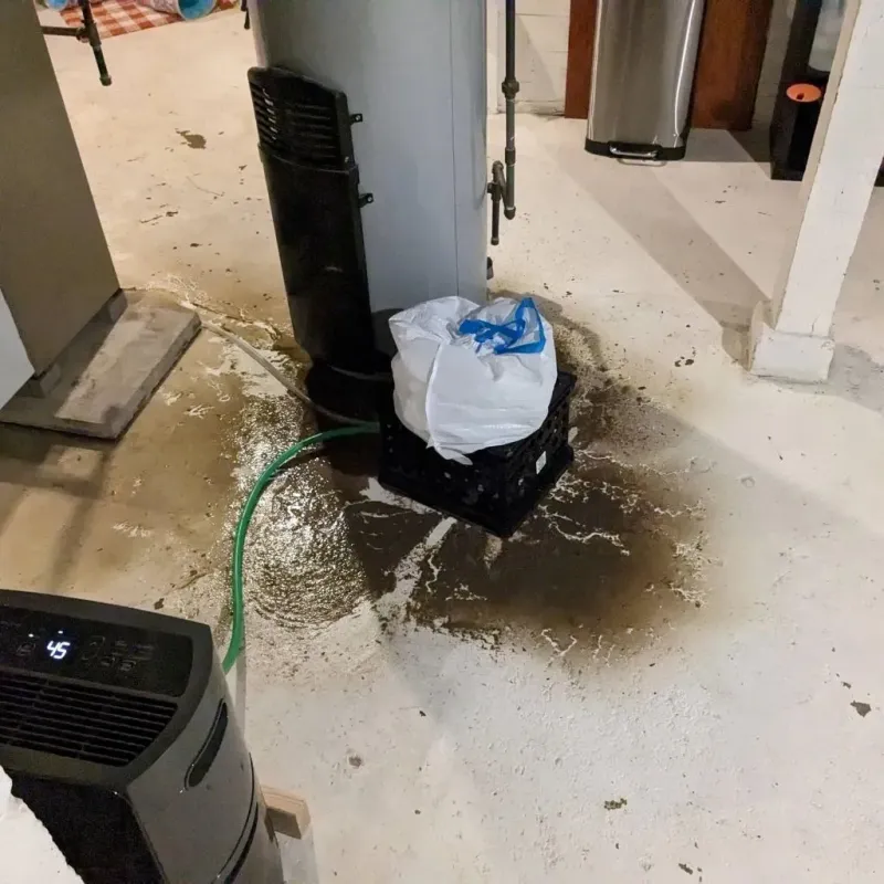 Sewage Backup Cleanup Service in Nolanville, TX